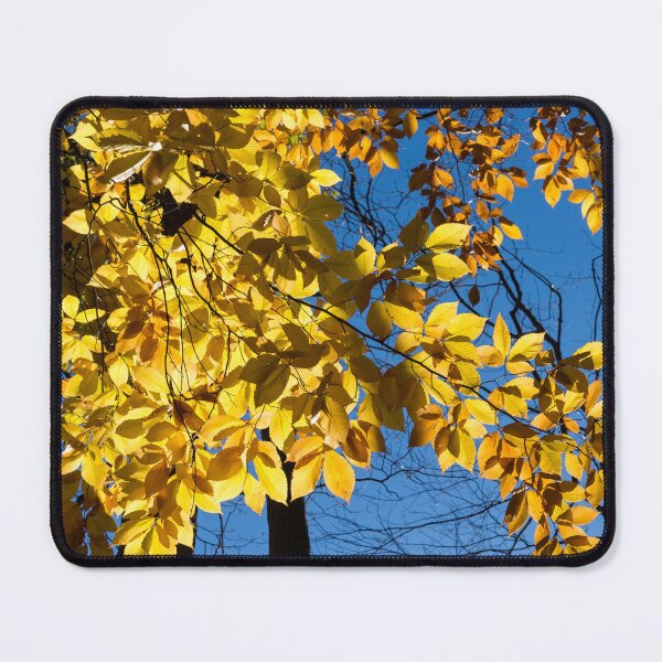 Item preview, Draped in Gold - Forest Bathing on a Glorious Autumn Day designed and sold by Georgia Mizuleva.