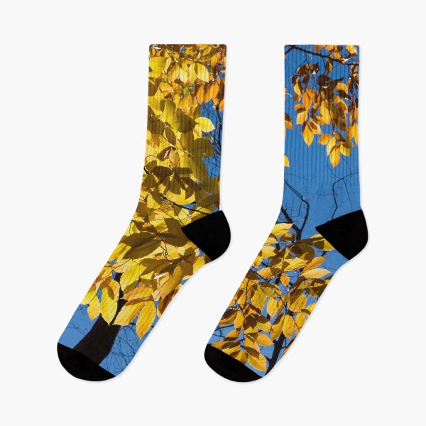 Item preview, Draped in Gold - Forest Bathing on a Glorious Autumn Day designed and sold by Georgia Mizuleva.