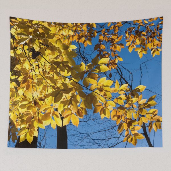 Item preview, Draped in Gold - Forest Bathing on a Glorious Autumn Day designed and sold by Georgia Mizuleva.