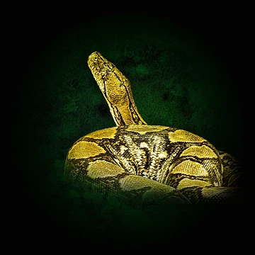 Artwork thumbnail, Python by Guardi71