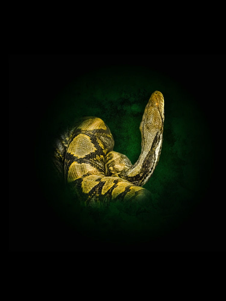 Thumbnail 4 of 4, iPhone Case, Python designed and sold by Guardi71.