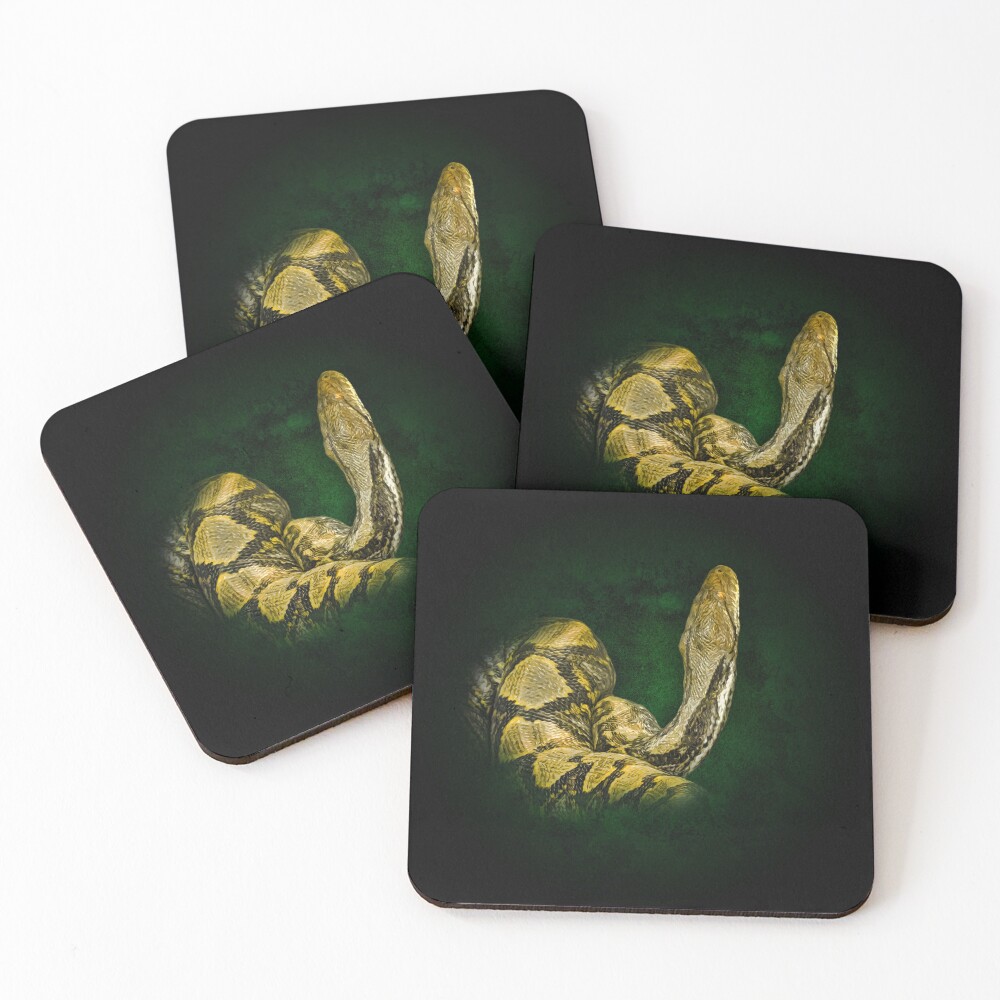 Item preview, Coasters (Set of 4) designed and sold by Guardi71.