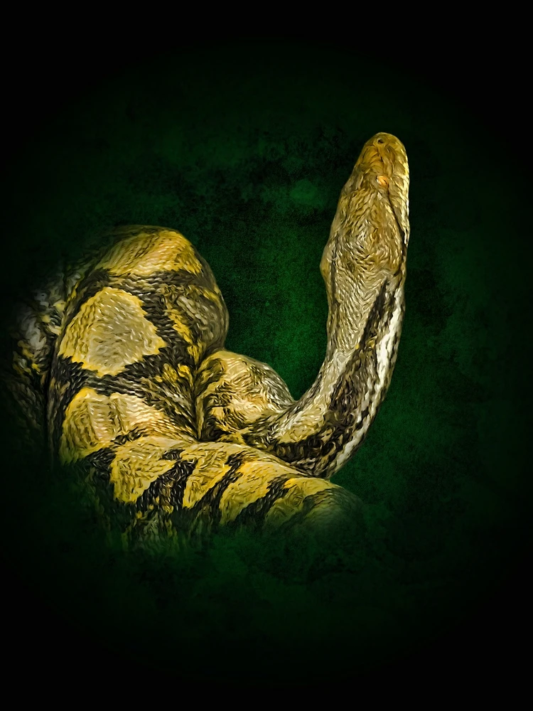 Thumbnail 3 of 3, Scarf, Python designed and sold by Guardi71.