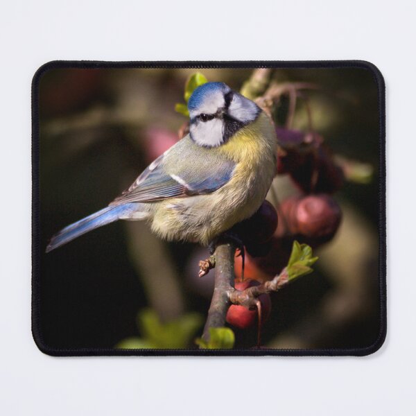 Item preview, Feathered Jewel designed and sold by Krys Bailey.