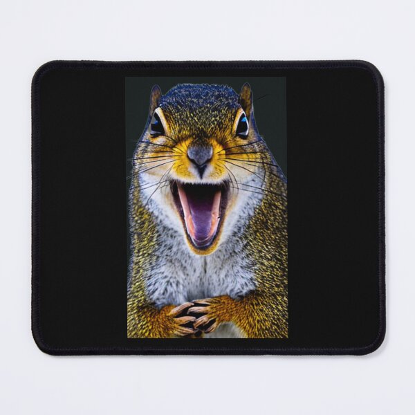 Item preview, Squirrel laughing designed and sold by MegsSD.