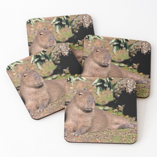 Item preview, Sitting Pretty designed and sold by Krys Bailey.