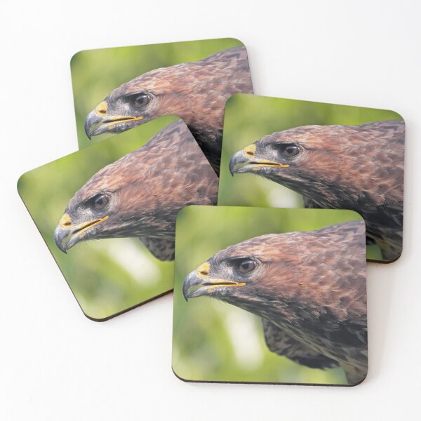 Item preview, Buzzard-Eye View designed and sold by Krys Bailey.