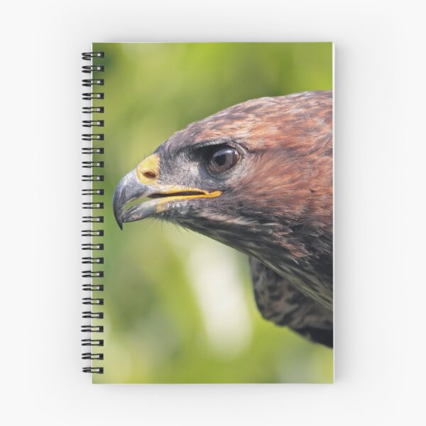 Item preview, Buzzard-Eye View designed and sold by Krys Bailey.