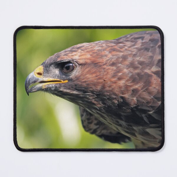 Item preview, Buzzard-Eye View designed and sold by Krys Bailey.