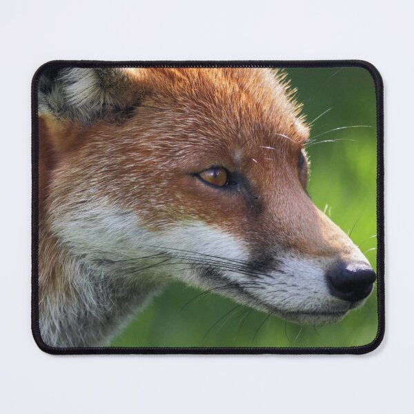 Item preview, Autumn Fox designed and sold by Krys Bailey.