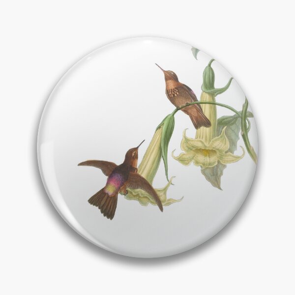 Artikelvorschau, Black Throated Sunbeam Kolibris Vintage Aquarell von John Gould Süßes, hübsches, glückliches Vogelbeobachtungsgeschenk entworfen und verkauft von ElegantTeaTime.