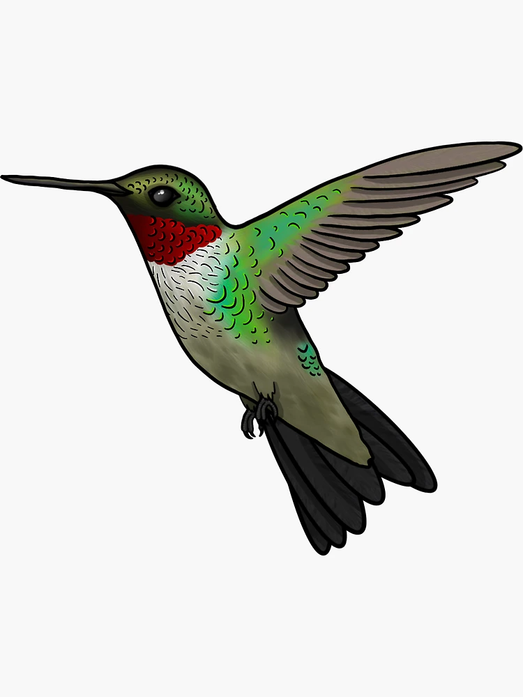 Beautiful Vibrant Colored Hummingbird Art Funny Car Sticker - Temu