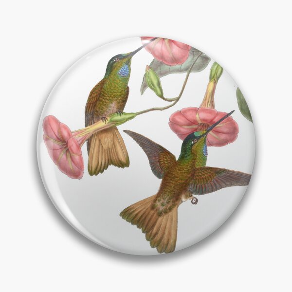 Item preview, Buff Tailed Star Frontlet Hummingbirds Vintage Watercolor by John Gould Sweet Pretty Happy Birdwatching Gift designed and sold by ElegantTeaTime.