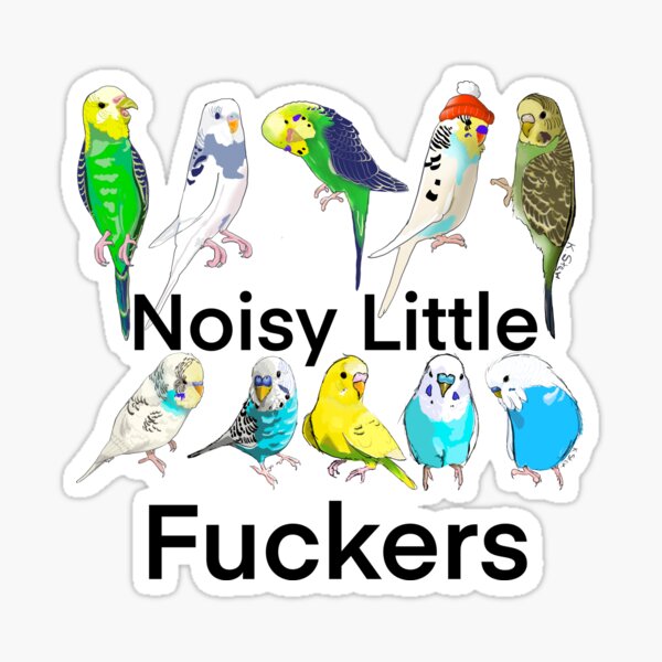 Noisy Little Fuckers Sticker