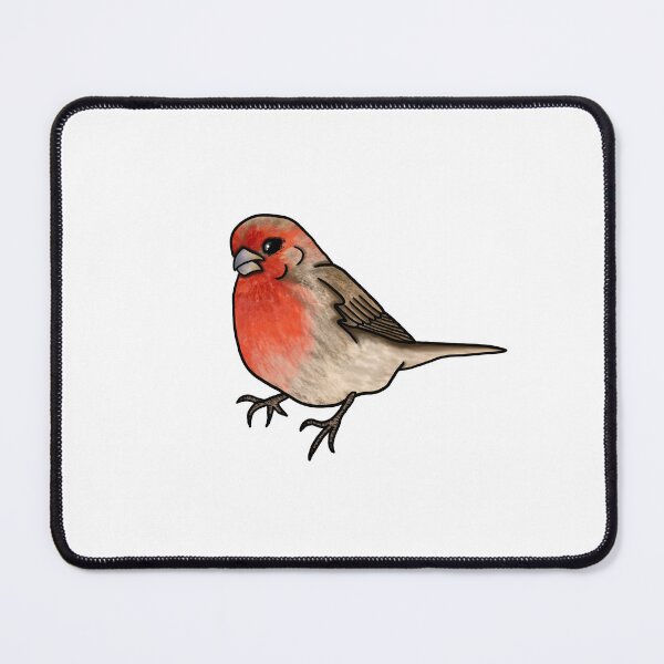 Item preview, Finch designed and sold by honeybeepaper.