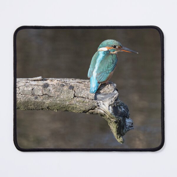 Item preview, kingfisher designed and sold by kathleenjean.