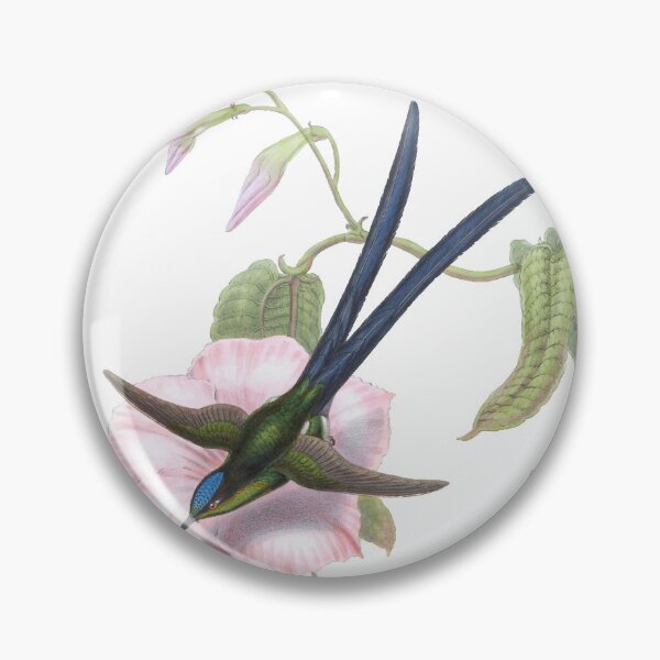 Artikelvorschau, Elliots Topaz Kolibris Vintage Aquarell von John Gould Süßes, hübsches, glückliches Vogelbeobachtungsgeschenk entworfen und verkauft von ElegantTeaTime.