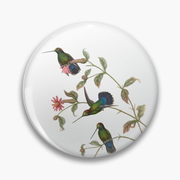 Item preview, Green Fronted Lancebill Hummingbirds Vintage Watercolor by John Gould Sweet Pretty Happy Birdwatching Gift designed and sold by ElegantTeaTime.