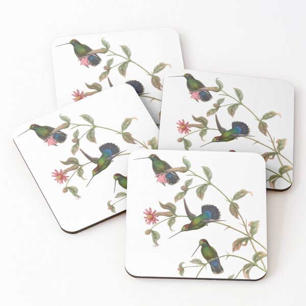 Item preview, Green Fronted Lancebill Hummingbirds Vintage Watercolor by John Gould Sweet Pretty Happy Birdwatching Gift designed and sold by ElegantTeaTime.
