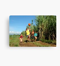 rural scene Canvas Print