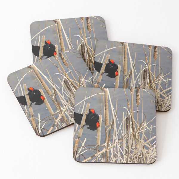 Item preview, Red-winged Blackbird Perched on Cattail designed and sold by Maritza Morales.