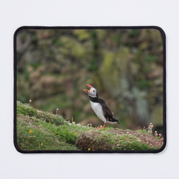 Item preview, Puffin Calling designed and sold by heidipics.