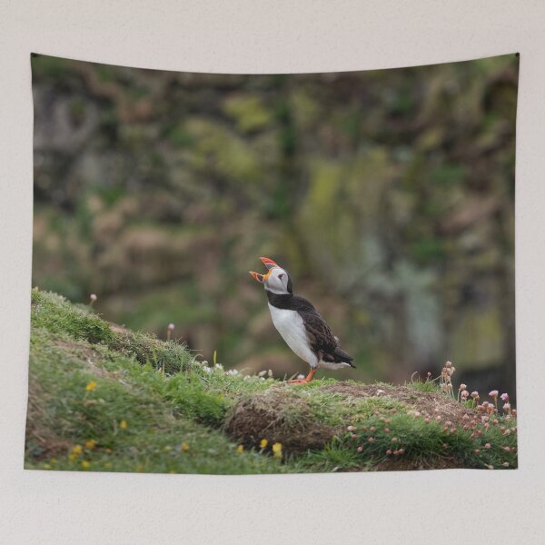 Item preview, Puffin Calling designed and sold by heidipics.
