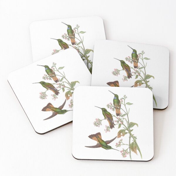 Item preview, Jelskis Star Frontlet Hummingbirds Vintage Watercolor by John Gould Sweet Pretty Happy Birdwatching Gift designed and sold by ElegantTeaTime.