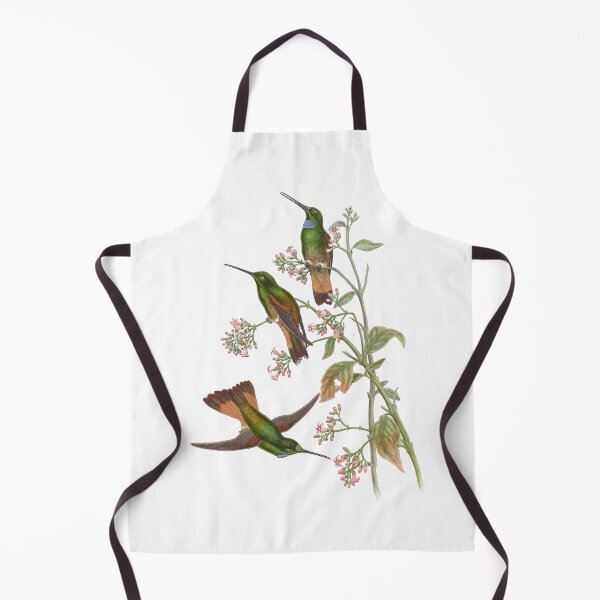 Item preview, Jelskis Star Frontlet Hummingbirds Vintage Watercolor by John Gould Sweet Pretty Happy Birdwatching Gift designed and sold by ElegantTeaTime.