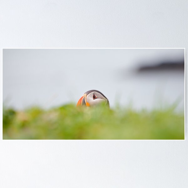 Item preview, Peek a Boo designed and sold by heidipics.