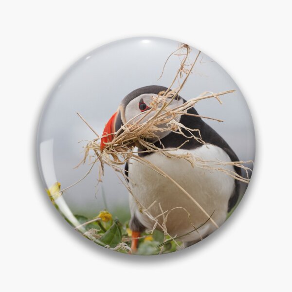 Item preview, Puffin Nesting designed and sold by heidipics.