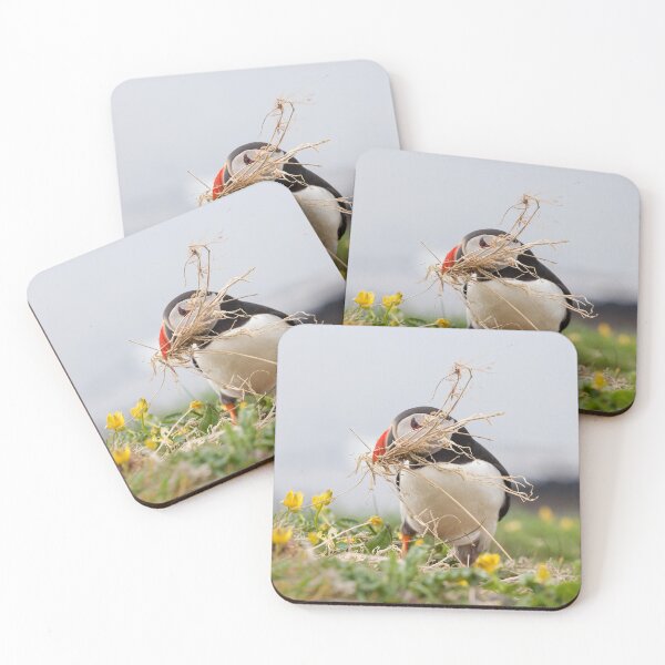 Item preview, Puffin Nesting designed and sold by heidipics.