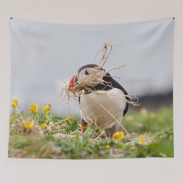 Item preview, Puffin Nesting designed and sold by heidipics.