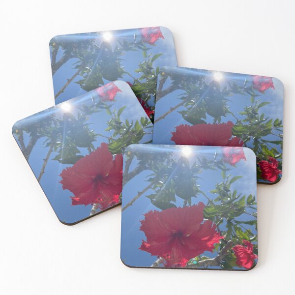 Item preview, Hibiscus sighting designed and sold by Ferraferalcat.