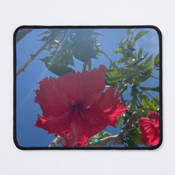Item preview, Hibiscus sighting designed and sold by Ferraferalcat.