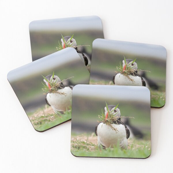 Item preview, Atlantic Puffin with Nesting Material designed and sold by heidipics.