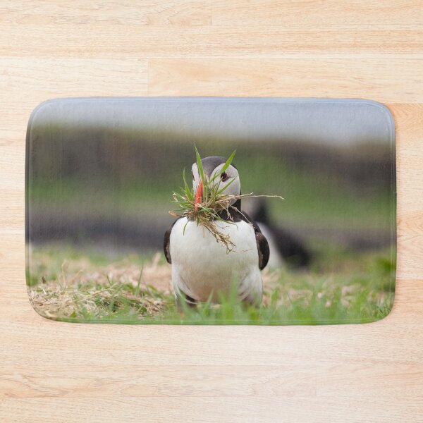 Item preview, Atlantic Puffin with Nesting Material designed and sold by heidipics.