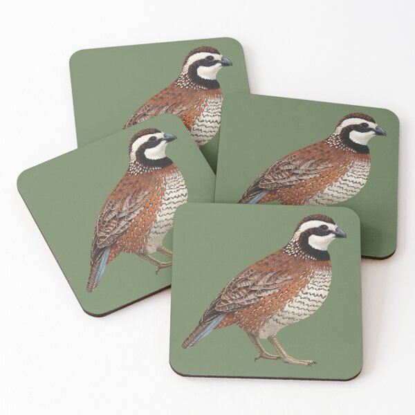Item preview, Northern Bobwhite Quail Pheasant Bird Science Illustration designed and sold by Nick Garnhart.