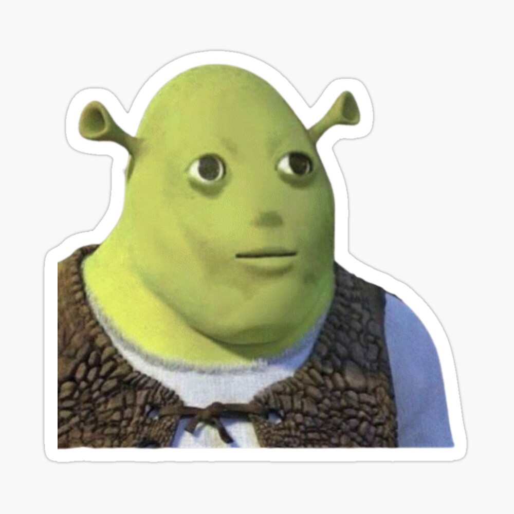 Pin on Funny Shrek memes