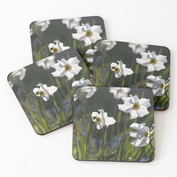 Item preview, Poet's Daffodil designed and sold by Calidris Fotografie Steffi & Ben Köppler.