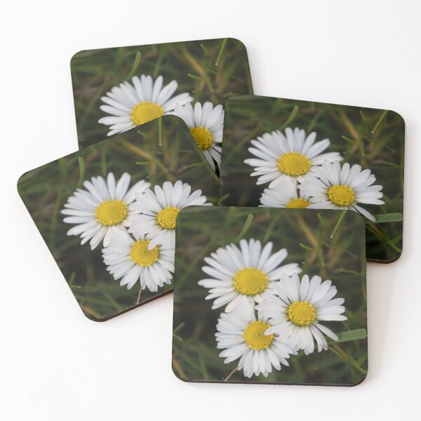 Item preview, Daisies designed and sold by Calidris Fotografie Steffi & Ben Köppler.