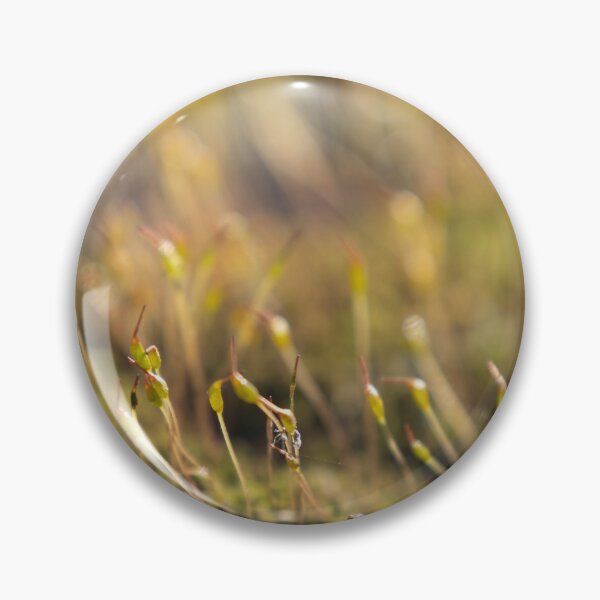 Item preview, Moss with Spore Capsules designed and sold by Calidris Fotografie Steffi & Ben Köppler.
