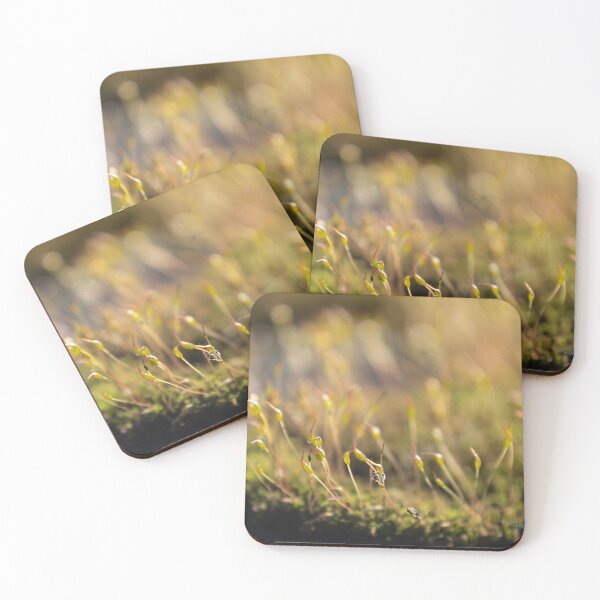 Item preview, Moss with Spore Capsules designed and sold by Calidris Fotografie Steffi & Ben Köppler.