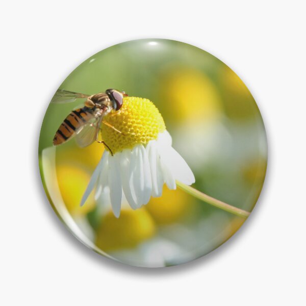 Item preview, Hoverfly on camomile designed and sold by Calidris Fotografie Steffi & Ben Köppler.