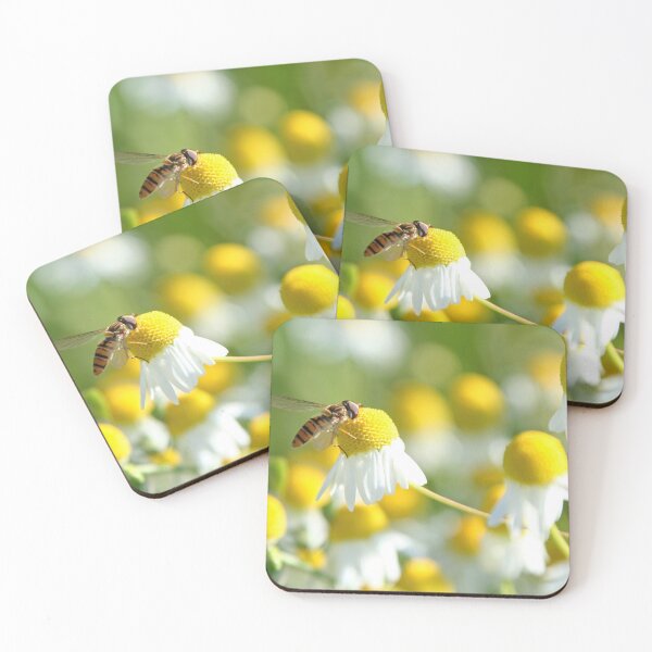 Item preview, Hoverfly on camomile designed and sold by Calidris Fotografie Steffi & Ben Köppler.