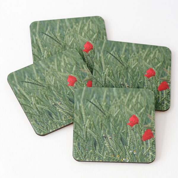 Item preview, Poppies designed and sold by Calidris Fotografie Steffi & Ben Köppler.
