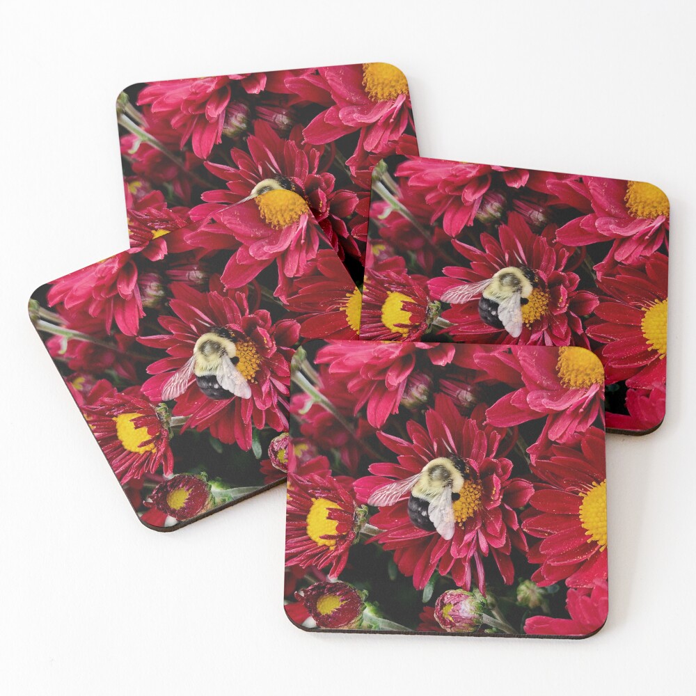 Item preview, Coasters (Set of 4) designed and sold by OutJsWindow.