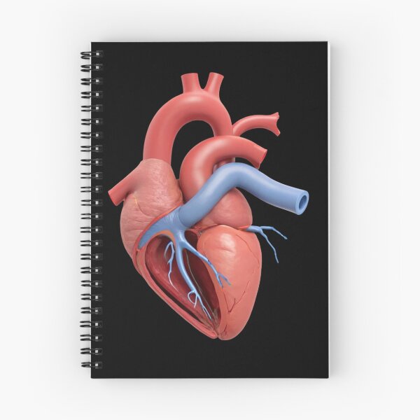Item preview, aorta designed and sold by EuropeanPrints.