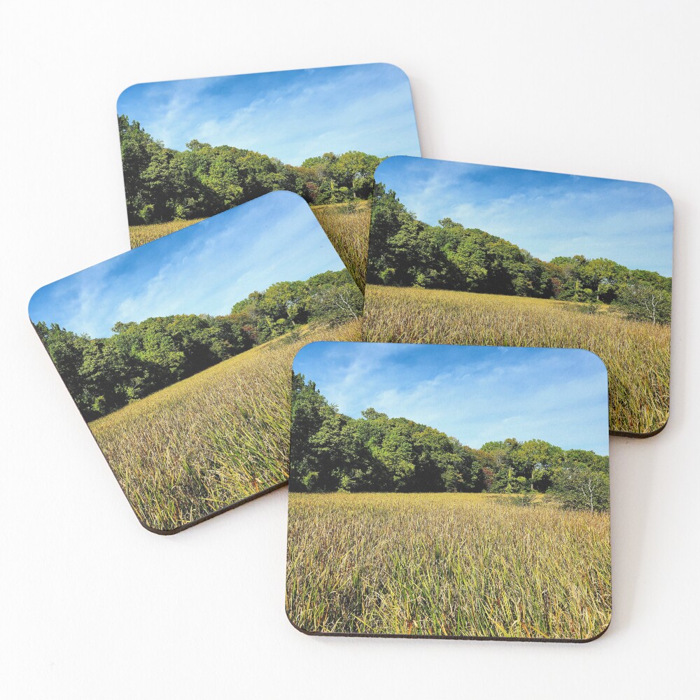 Item preview, Coasters (Set of 4) designed and sold by OutJsWindow.