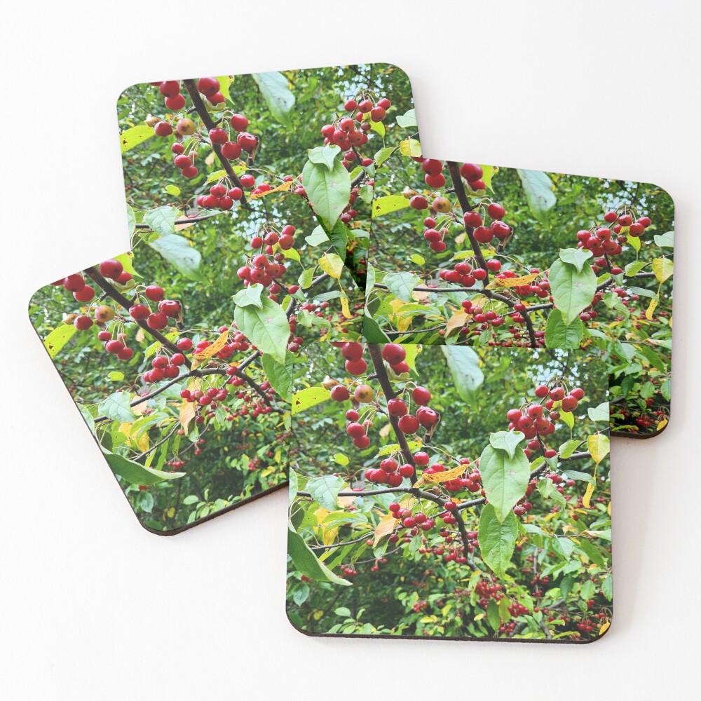 Item preview, Coasters (Set of 4) designed and sold by OutJsWindow.